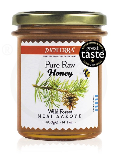 Pure raw honey «Wild Forest», from Achaia "Dioterra" 400g