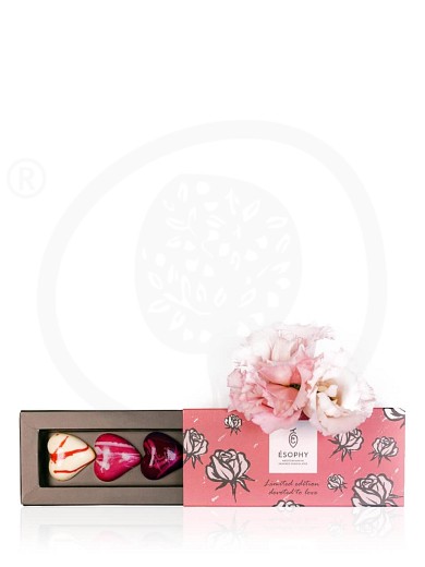 St. Valentine's chocolate hearts assortment box "Ésophy"