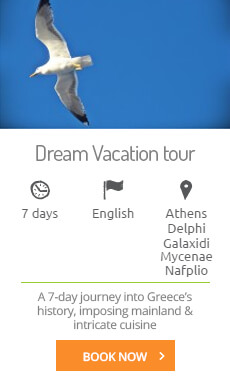 Dream Vacation Tour